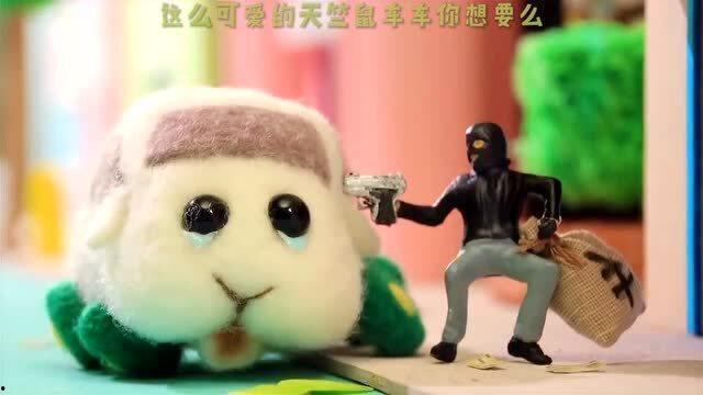 天竺鼠车车,萌宠出行新潮流  第2张