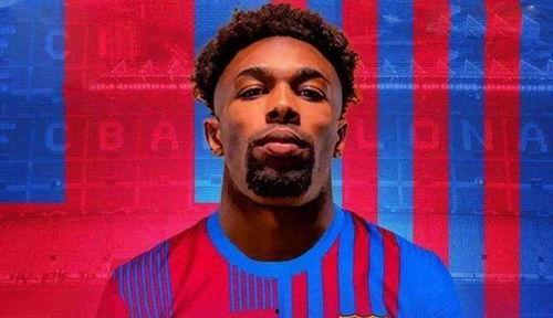 贝内尔和阿达玛,探索数学与逻辑的璀璨星河 第3张 贝内尔和阿达玛,探索数学与逻辑的璀璨星河 第3张