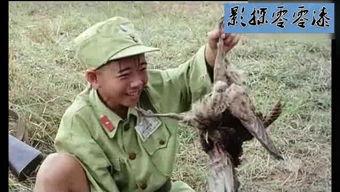 三毛从军记,荒岛奇遇与成长之旅  第2张