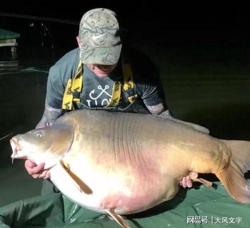 重生成鱼气哭钓鱼佬,一场奇妙的钓鱼奇遇 第3张 重生成鱼气哭钓鱼佬,一场奇妙的钓鱼奇遇 第3张