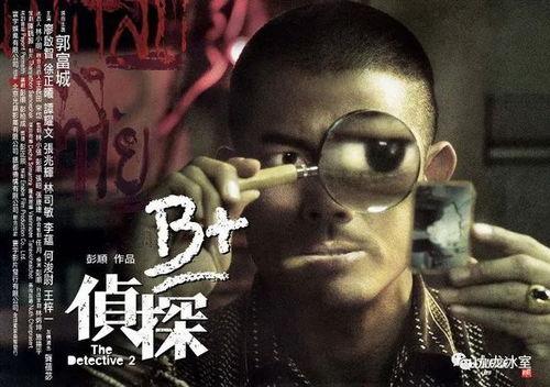 私家侦探（国语版）,揭秘都市迷雾中的真相追踪