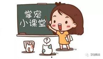 骗子性爱,性爱陷阱背后的骗局真相  第3张