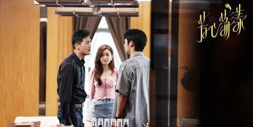 恋爱潜伏,揭秘恋爱潜伏的甜蜜奥秘  第3张