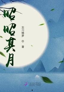 昭昭明月入君怀,昭昭情深  第2张