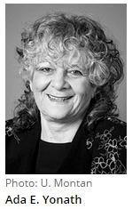 阿达想当科学家 第四季,第四季探索未知之旅 第3张 阿达想当科学家 第四季,第四季探索未知之旅 第3张