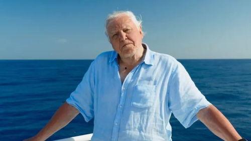 大卫·爱登堡的塔斯马尼亚,塔斯马尼亚的自然奇迹与生态挑战 第3张 大卫·爱登堡的塔斯马尼亚,塔斯马尼亚的自然奇迹与生态挑战 第3张