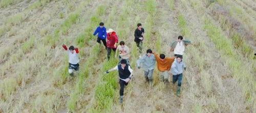 种地吧,探寻农业现代化与乡村振兴的绿色之路  第3张