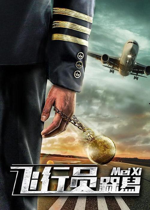 飞行员呆呆鸟,翱翔蓝天中的独特身影  第2张