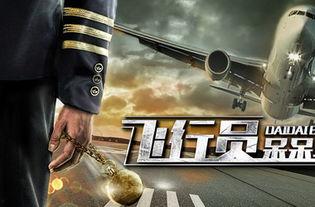 飞行员呆呆鸟,翱翔蓝天中的独特身影  第3张